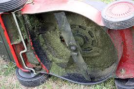 Electric Mower Overheating