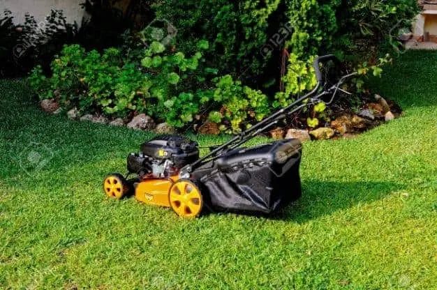 Frequently Asked Questions About Lawnmowers Vibrating Too Much
