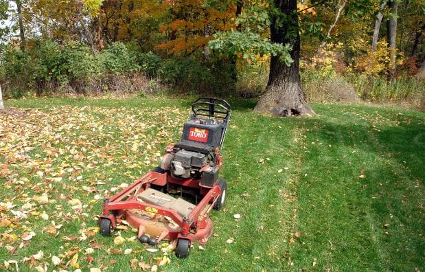 Frequently Asked Questions About Mulching Mowers