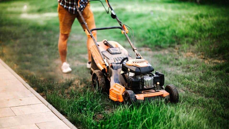Why Does The Lawn Mower Keep Cutting Off? Find Out Here!