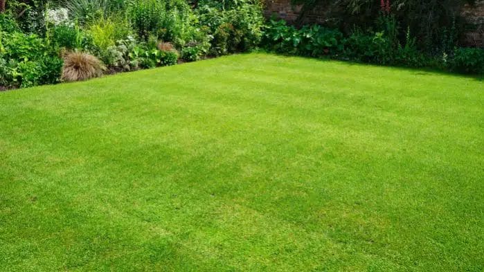 Can Mowing My Grass Help It Spread To Bare Spots On My Lawn