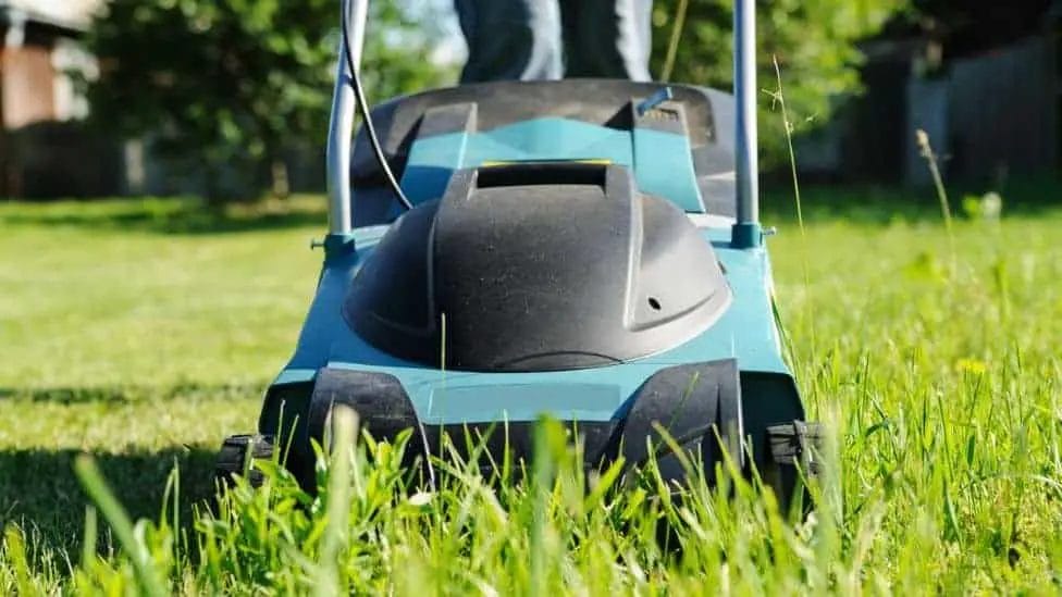 Can You Use An Electric Mower On Wet Grass
