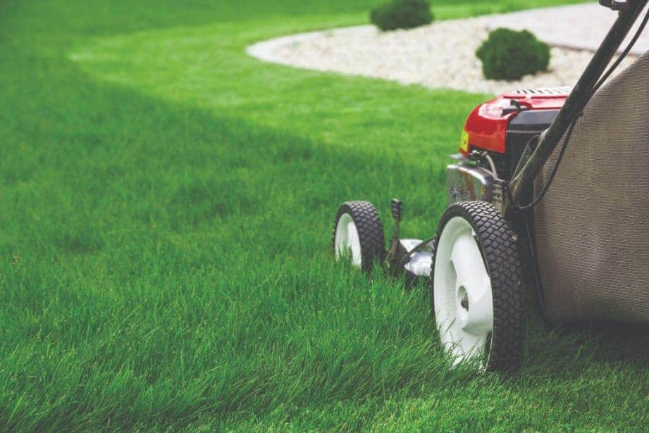 Dangers to Your Lawn Mower
