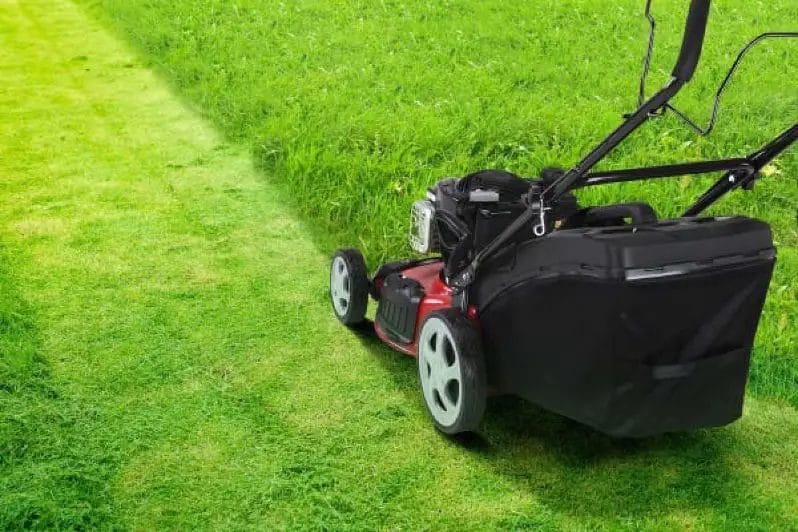 Does Mowing The Lawn Help The Grass Area Spread
