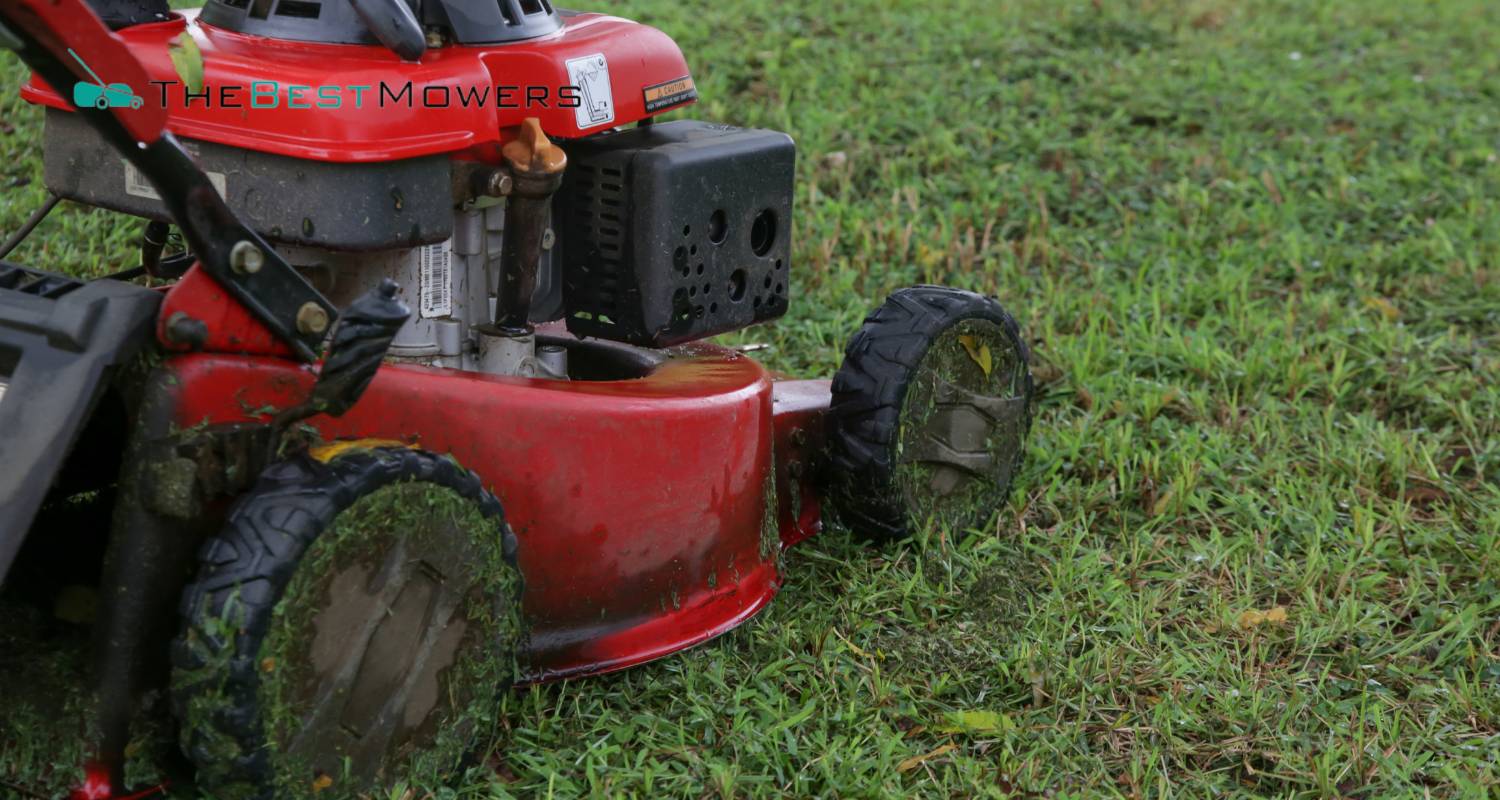 How Do You Fix A Flooded Petrol Lawn Mower? Find Out Here!