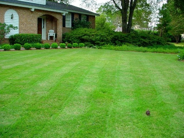 Frequently Asked Questions About Mowing Grass To Help It Spread