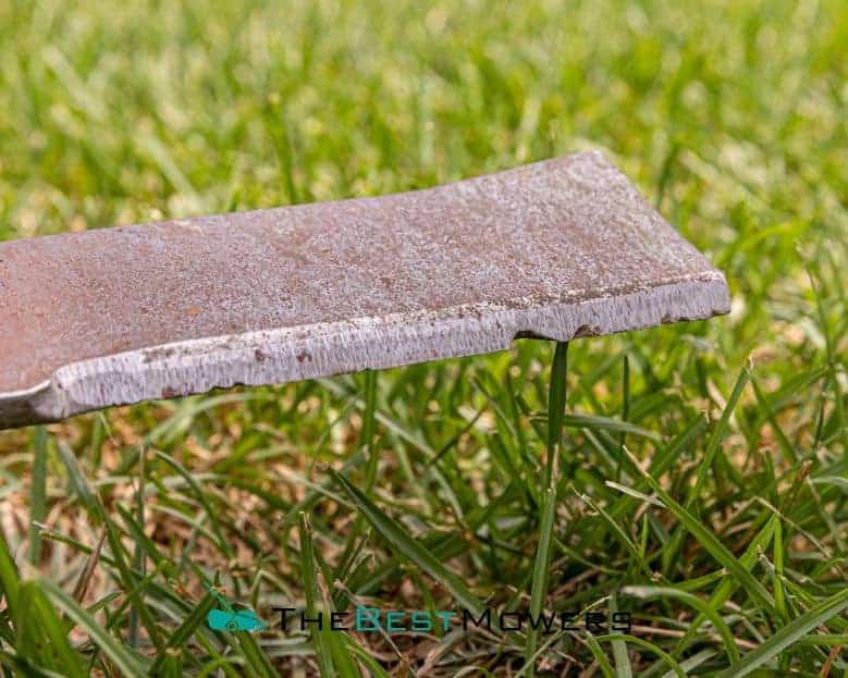 How To Know For Sure If Your Mower Blades Are Blunt/Dull? Find Out Here!