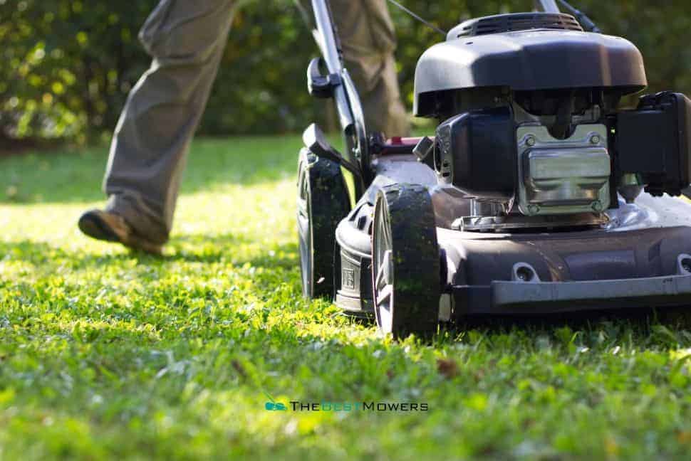 How To Increase The RPM On A Lawn Mower? Find Out Here!