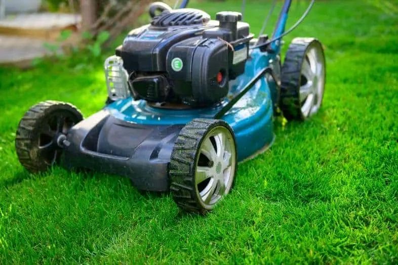 Is It Better To Buy a Self-Propelled Or a Push Lawn Mower 2