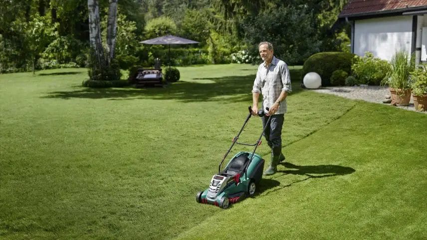 What Type Of Lawn Mower Gives The Best Cut