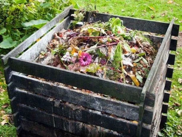 (image of a compost heap)