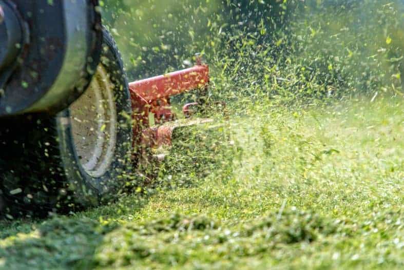 (image of a lawn mower mulching grass clippings)