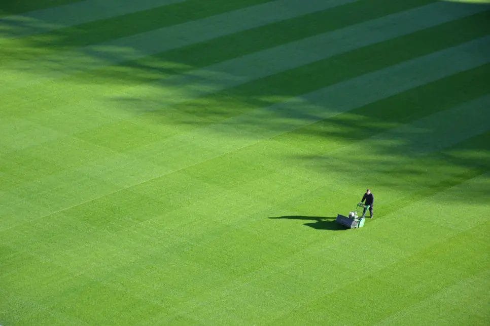 (image of a neat, green lawn)