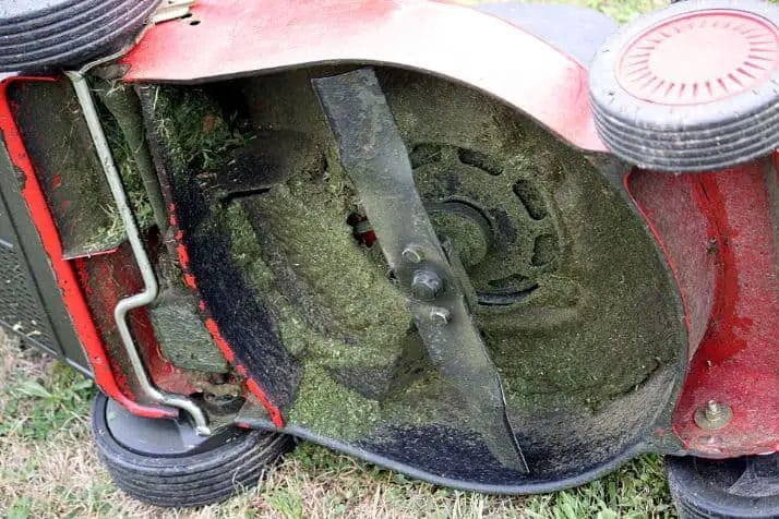 How to thoroughly clean under your lawn mower