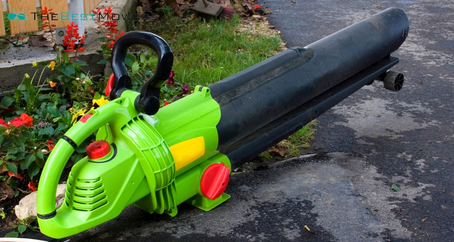 The Best Cordless Leaf Blower 20222023 Guide