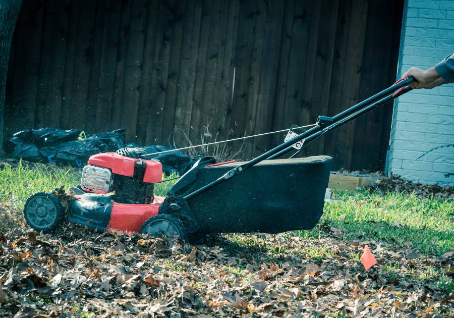 How Does A Lawn Mower Mulcher Work? Use Your Grass Clippings Wisely!