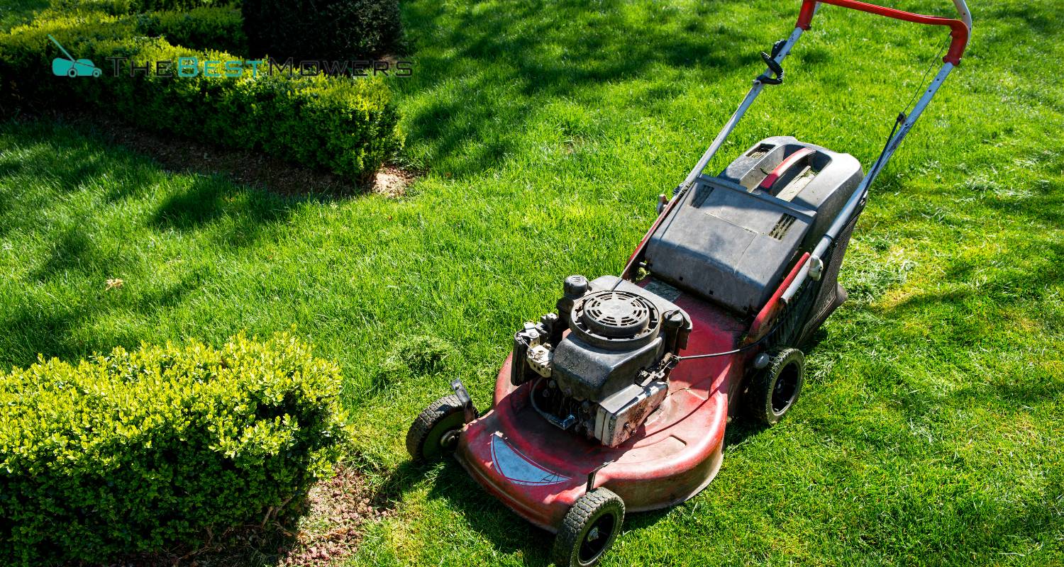 Are Lawn Mower Engines Interchangeable? Find Out Here...