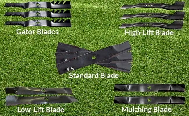 Types of Blade