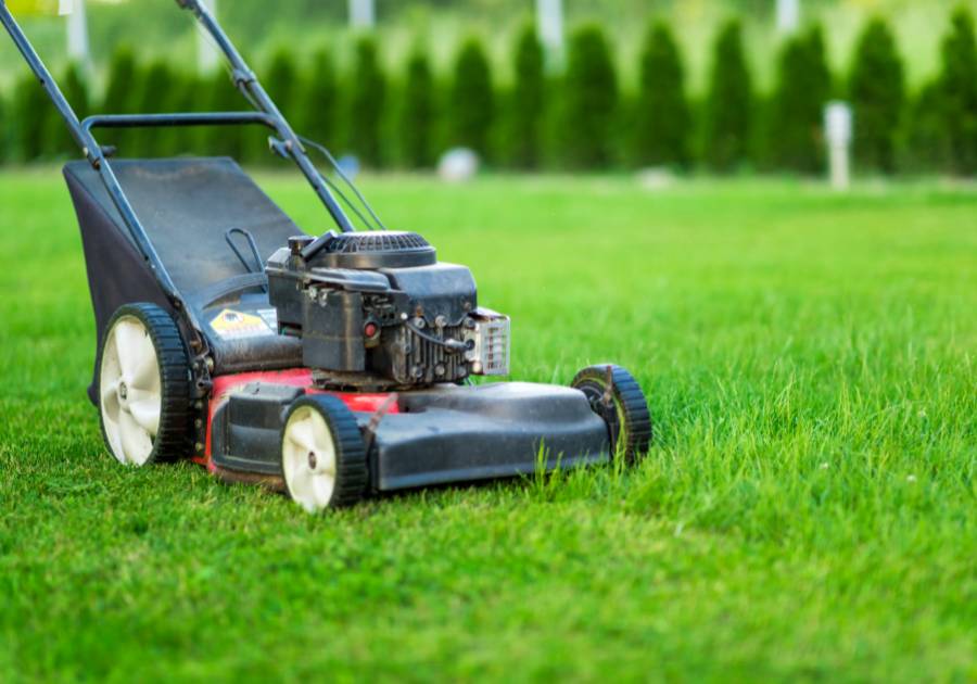 How Do You Start A Lawn Mower In The Cold Weather? Our Guide