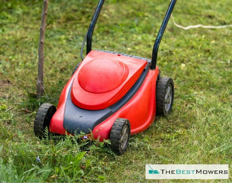 The Benefits Of Mulching Grass Should You Mulch Or Not?