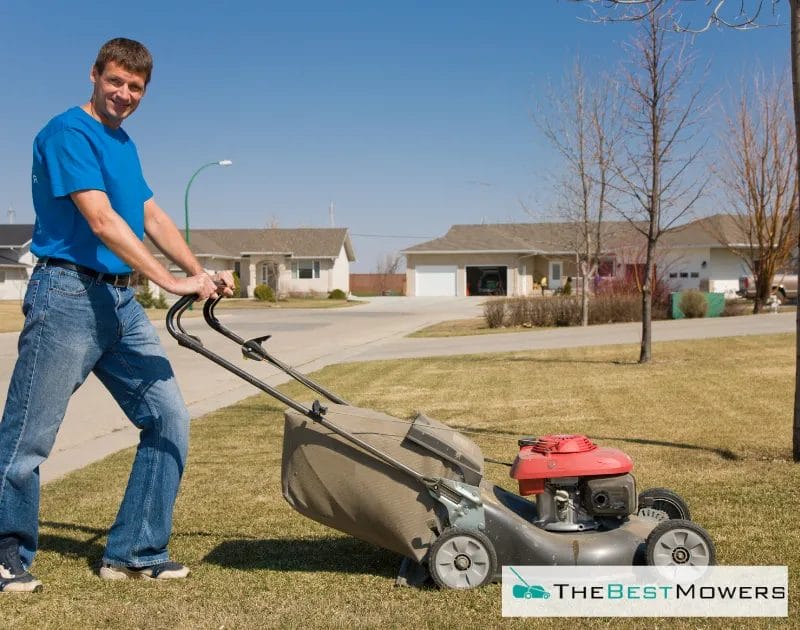 Our Ultimate Guide To Mulching Your Lawn - Is It Worth It