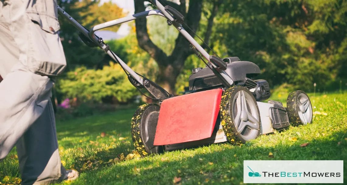 How Does A Lawn Mower Mulcher Work? Use Your Grass Clippings Wisely!