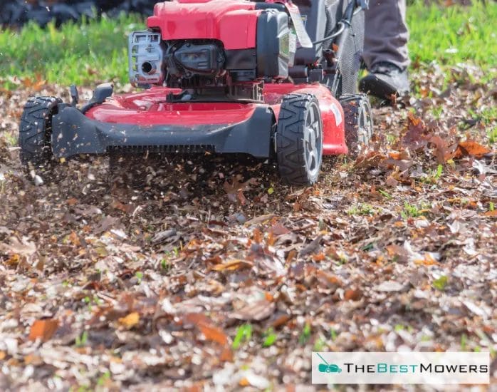 The Benefits Of Mulching Grass Should You Mulch Or Not?