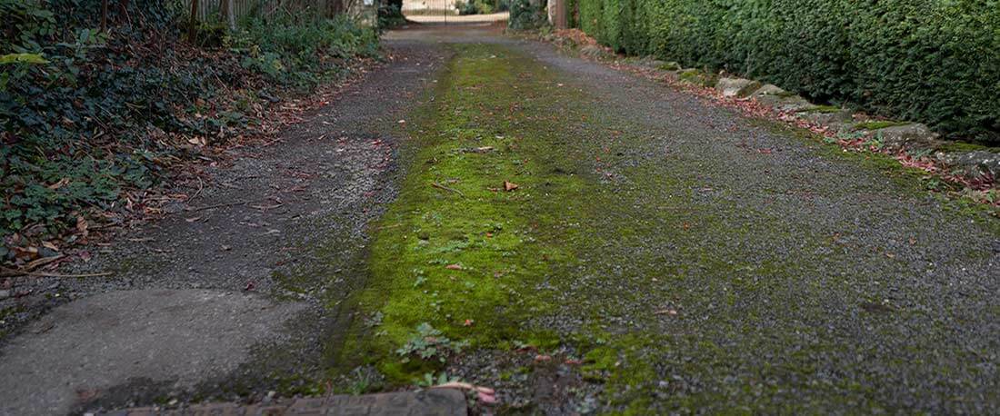 how-much-does-it-cost-to-tarmac-a-driveway-costs-co-uk