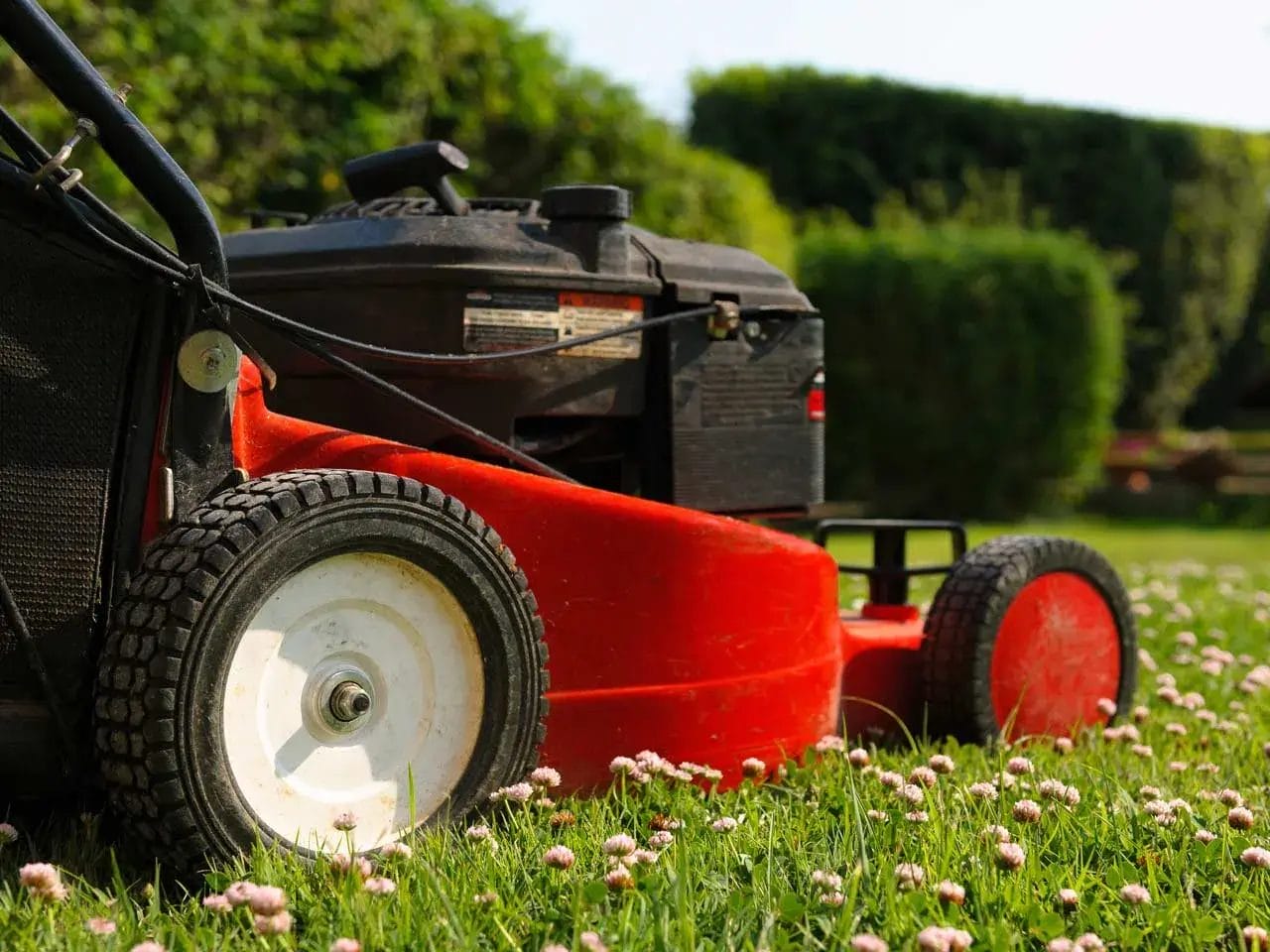 Rotary Or Hover Mower Which Is The Best? Find Out Here!